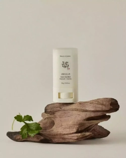BEAUTY OF JOSEON Солнцезащитный стик Matte sun stick: Mugwort+Camelia (18 г)