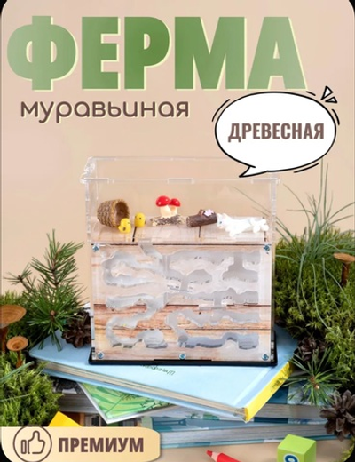 Муравьиная ферма с муравьями в подарок «Древесная»
