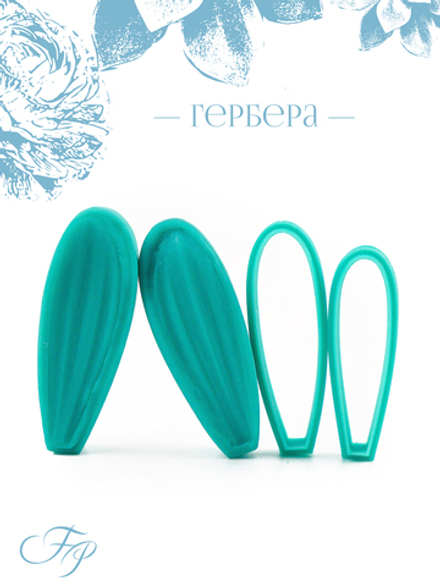 Гербера