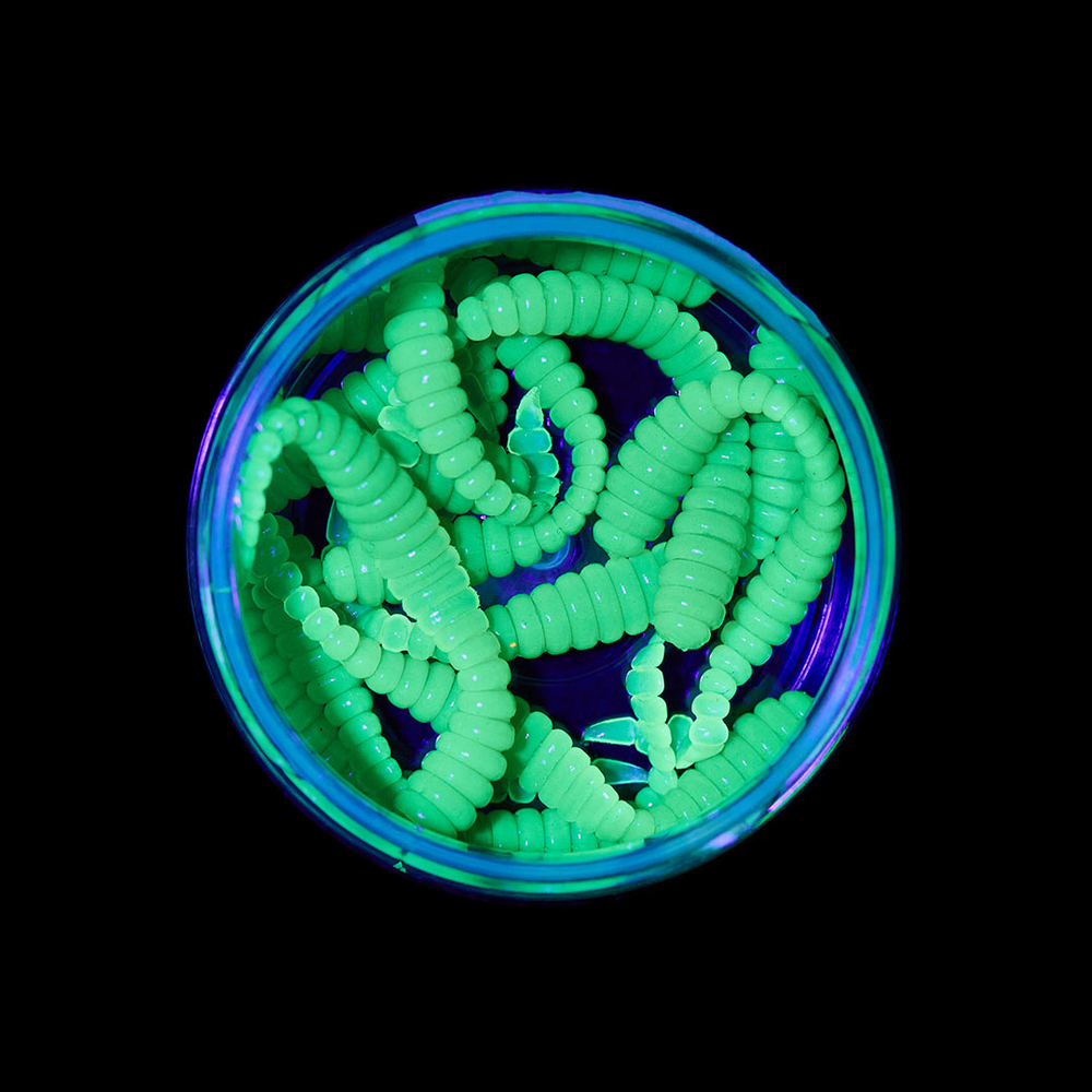 Форелевая приманка "Minoga" BOBR 3,2"(10шт) 80мм, 1,2гр, цвет 08