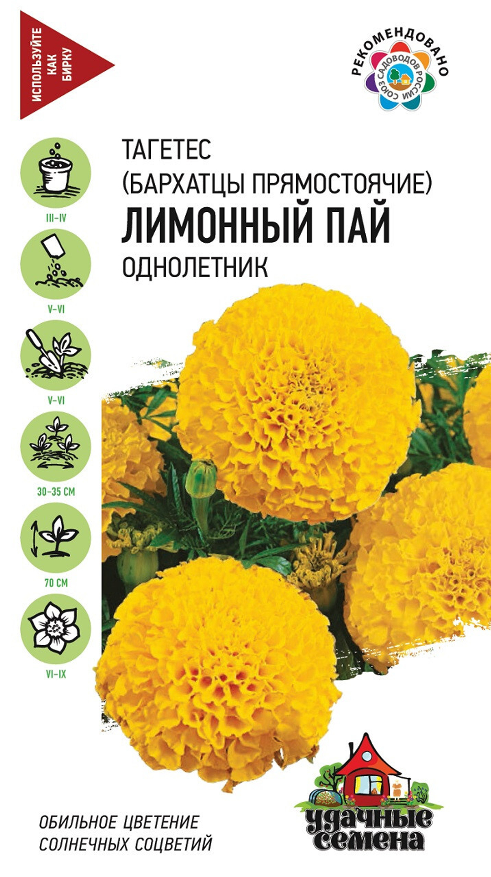 Бархатцы прямостоячие Лимонный пай