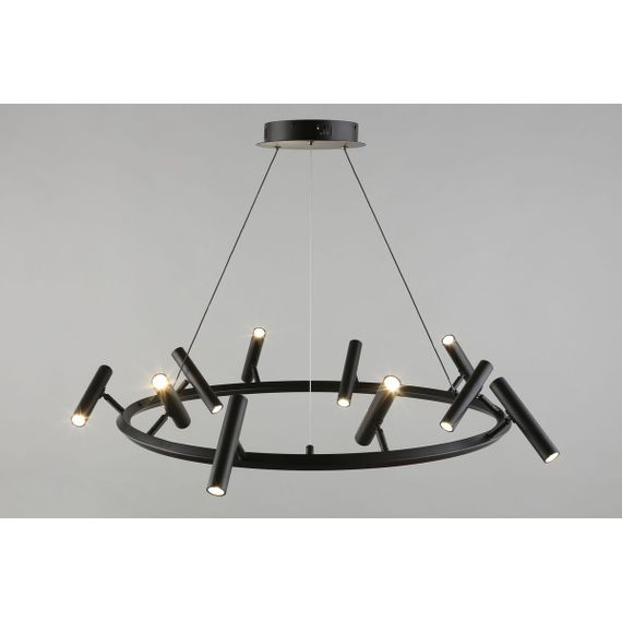 Подвесная светодиодная люстра Aployt Honor APL.067.03.50