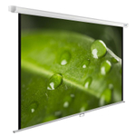 Экран  Cactus CS-PSWE-200X150-WT