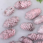 Композиция для декора «Сказочные шишки» 10*10*13 см (120 гр), розовый