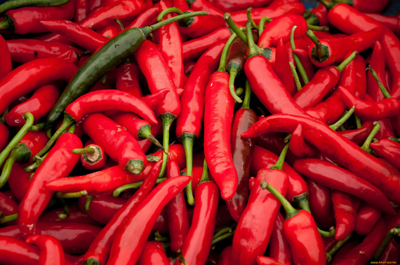 Харакири F1 семена перца острого (Гавриш) – фото 3