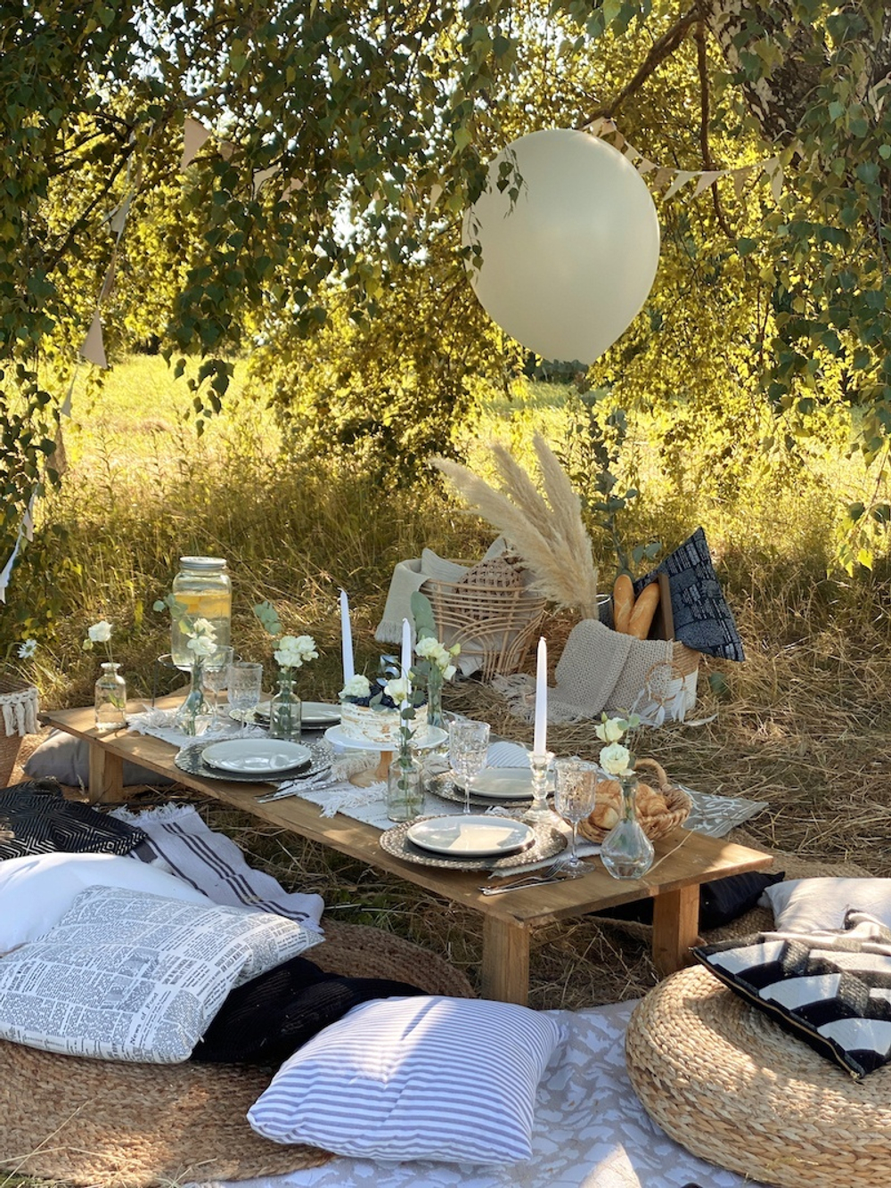 Daisy Picnic