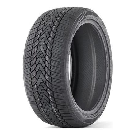 Зимняя шина Fronway Icemaster I (225/45 R19 96V)