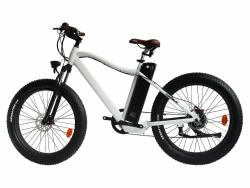 Электрофэтбайк Hoverbot FB-2 PRO FATBIKE