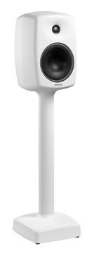 Genelec 6040R BRWm