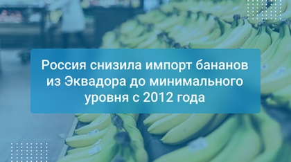 Россия снизила импорт бананов из Эквадора до минимального уровня с 2012 года
