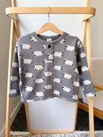 Новый хлопковый свитшот Petit Bateau, 98