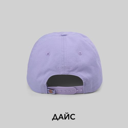 Кепка Dickies Hardwick 6 Panel Logo артикул:DK0A4TKVH181 - купить в магазине Дайс
