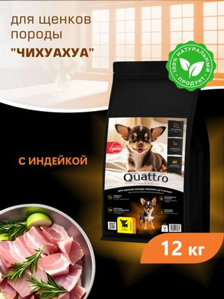 Корм сухой для щенков породы Чихуахуа, с индейкой, 12 кг, QUATTRO