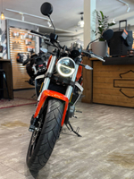 HARLEY-DAVIDSON X™ 350 Dynamic Orange 2023