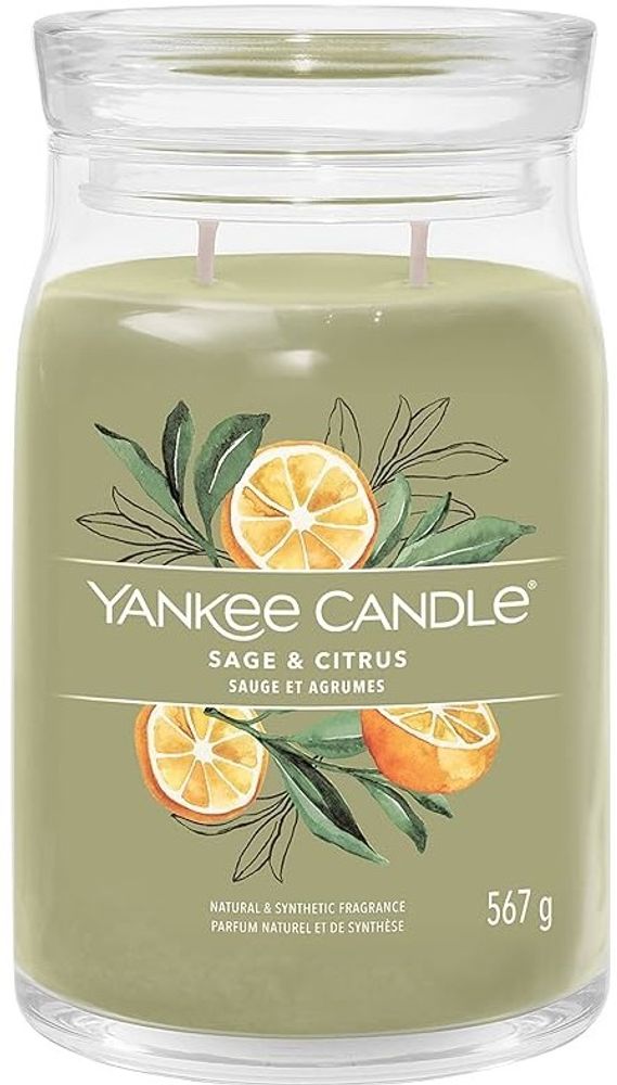 YANKEE CANDLE SAGE &amp; CITRUS 567 GR