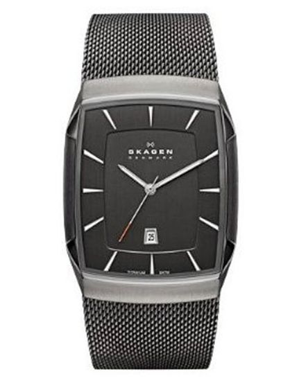 Наручные часы Skagen SKW6012