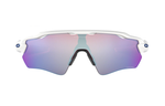 Oakley Irregular Shape Sunglasses