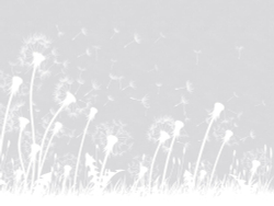 Коллекция Flower dreams 2