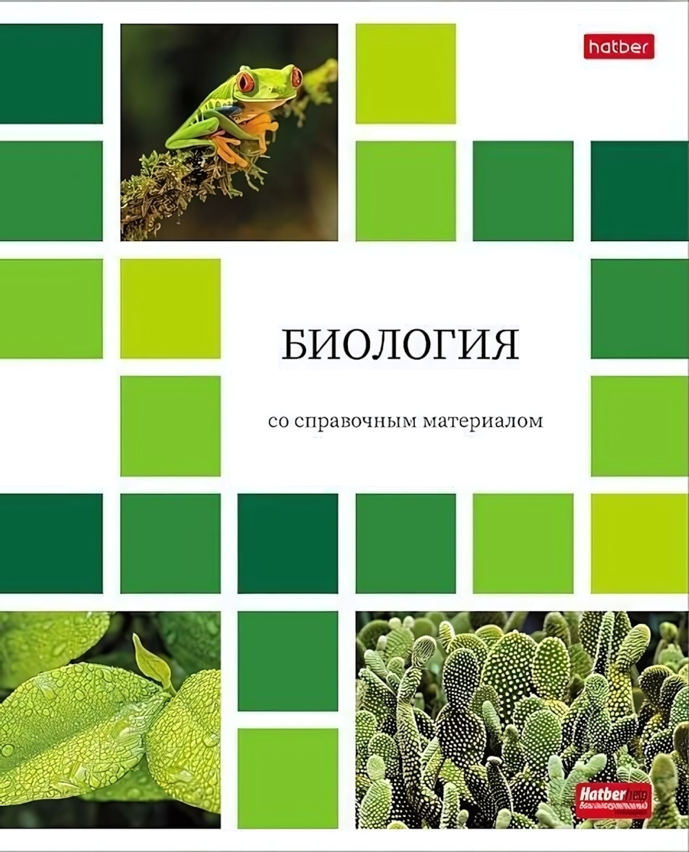 Тетрадь предметная 48л А5ф клетка на скобе Биология "Цветная мозаика" (Хатбер)