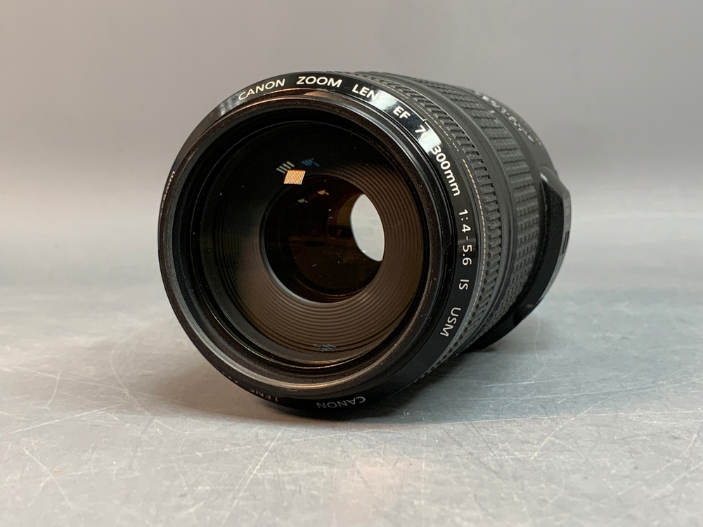 Canon EF 70-300 4-5.6 IS USM