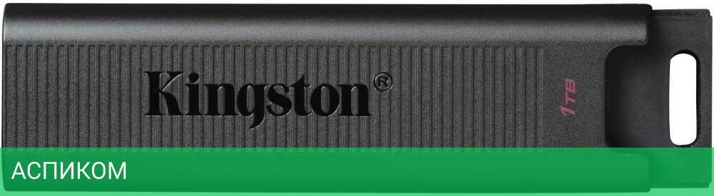 USB Flash-накопитель Kingston DataTraveler Max 1TB черный (DTMAX/1TB)