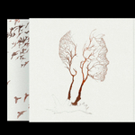Дельфин / Андрей (2LP)