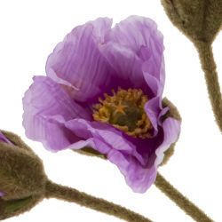 GAEM Цветы искусственные "Букет маков", L14 W12 H52 см