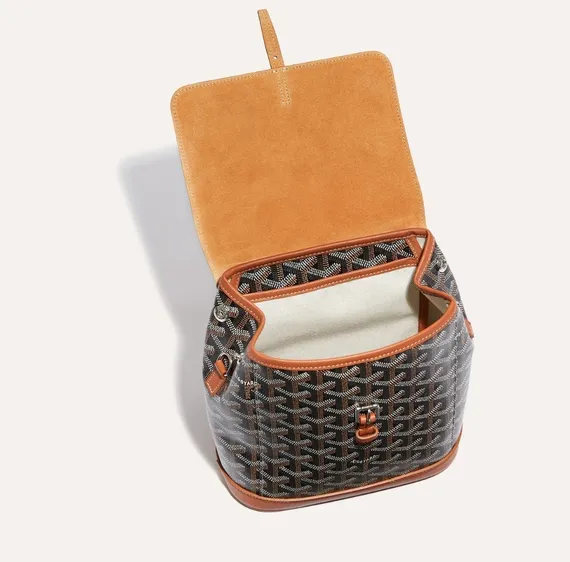 Рюкзак GOYARD Alpin Mini, коричневый