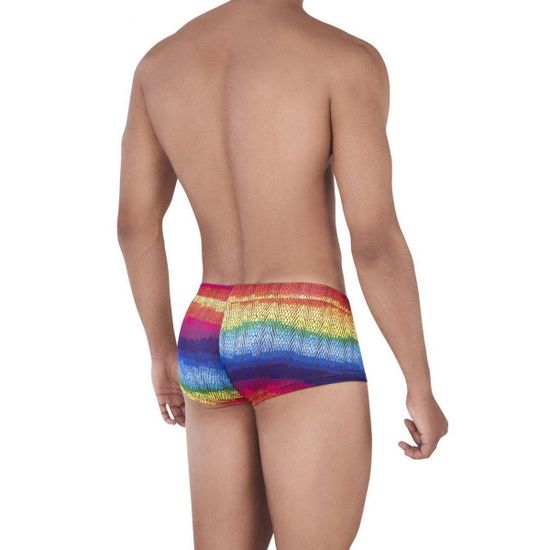 Мужские трусы хипсы разноцветные Pikante SEDUCTIVE CASTRO BOXER 032605