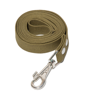 Поводок брезентовый, 25*10000мм