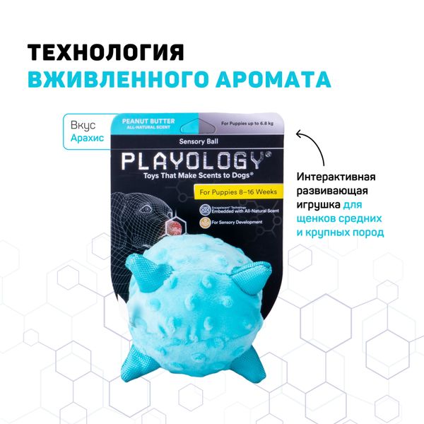 Сенсорный плюшевый мяч Playology PUPPY SENSORY BALL 11 см для щенков мелких и средних пород 8-16 недель с ароматом арахиса, цвет голубой