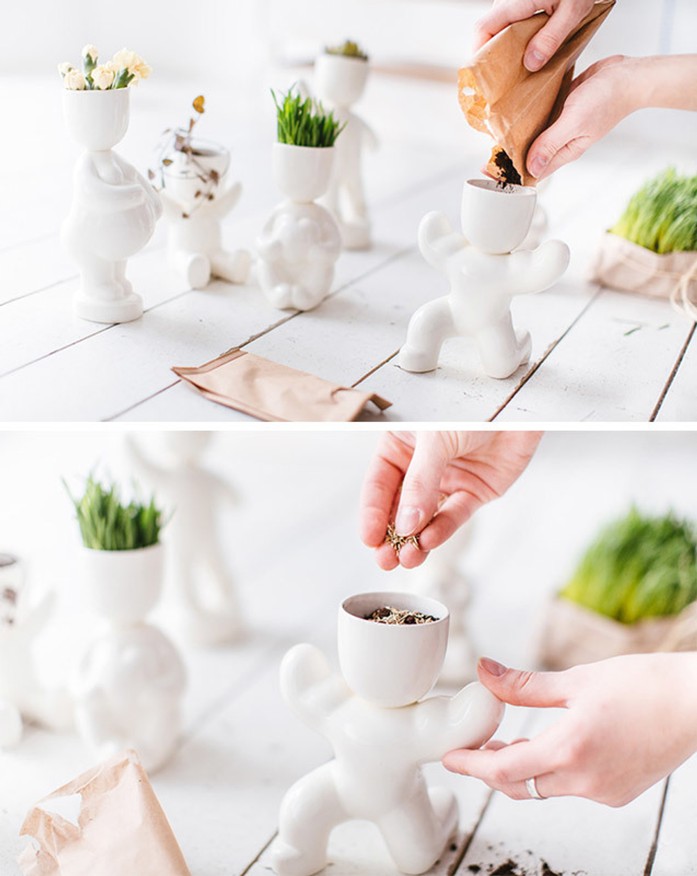 Набор для выращивания eco Йог