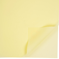 ЛИСТ 58*58/20шт СВЕТЛЫЙ №2