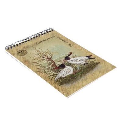 Блокнот для графики А5, 20 листов на гребне, обложка мелованный картон, блок офсет 180 г/м²