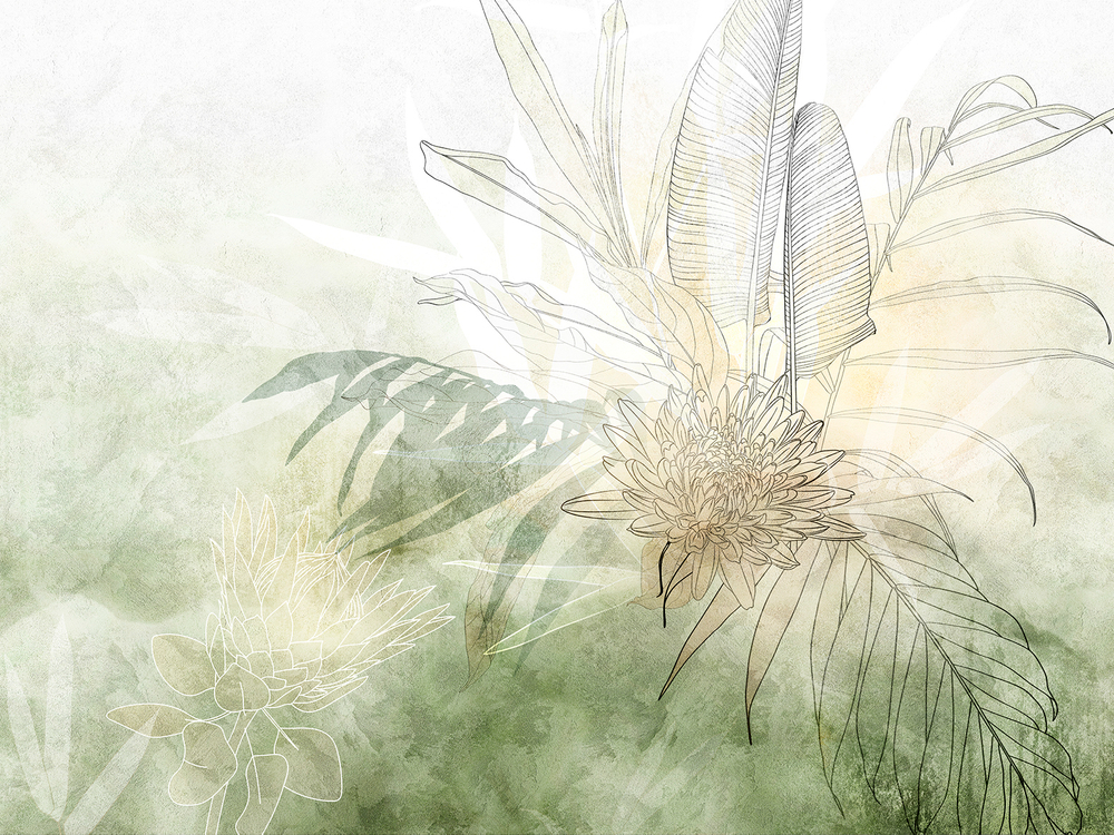 Коллекция AIR