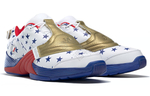 Кроссовки Reebok Answer V Mu Pu