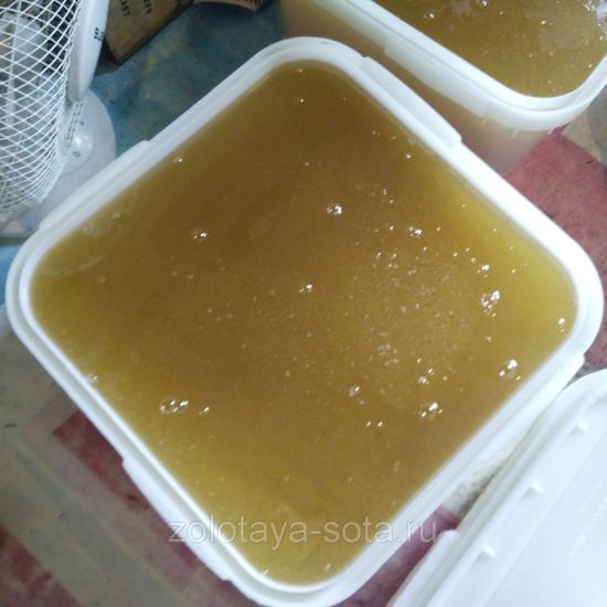 Мёд Липовый Приморье 1 кг