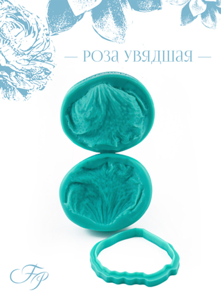 Роза увядшая