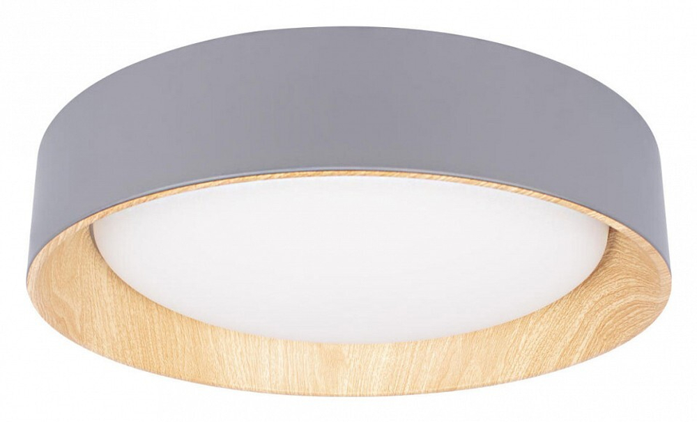 Накладной светильник Loft it Coin 10202 Grey