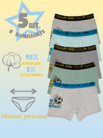 Боксеры для мальчика (5 штук в упаковке)