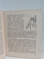 Кольцо царя Соломона