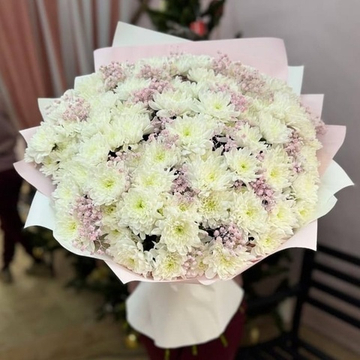 Букет из 19 кустовых хризантем «Baltica white» и розовой гипсофилы