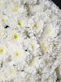 Облако любви 25 *