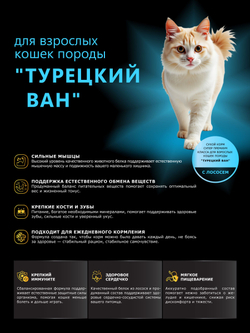 Корм сухой для взрослых кошек породы Турецкий ван, с лососем, 2 кг, QUATTRO