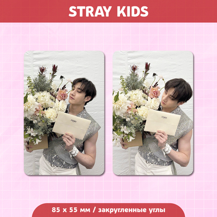 Сет карточек / STRAY KIDS #110 Бан Чан