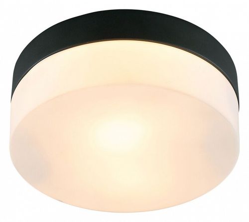 Накладной светильник Arte Lamp A6047PL-1BK
