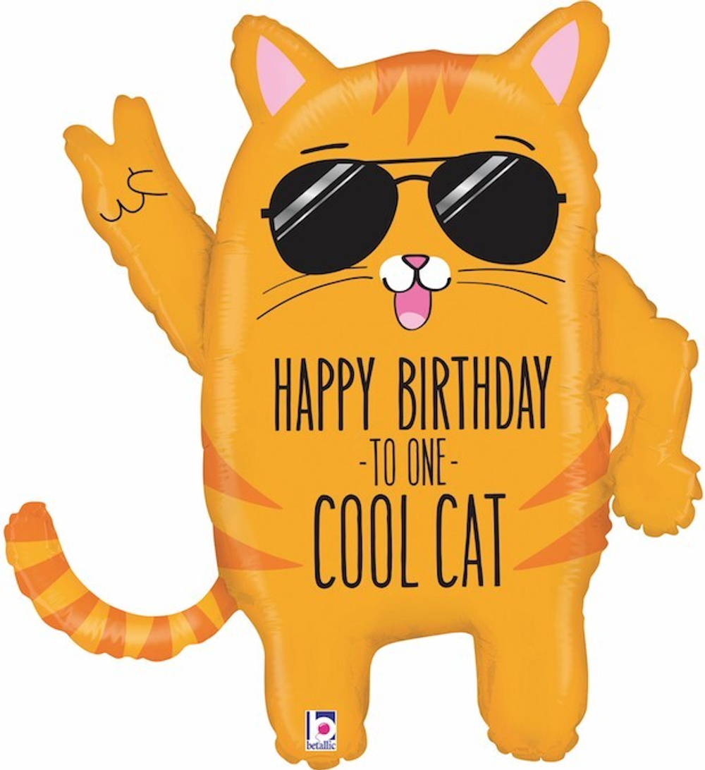 Шар-фигура, фольга, Кот крутой. С Днем Рождения (BT), 33/84 см