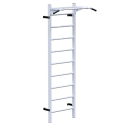 Шведская стенка с турником