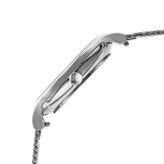 Женские часы Skagen SKW2966