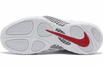 Кроссовки Nike Foamposite Pro